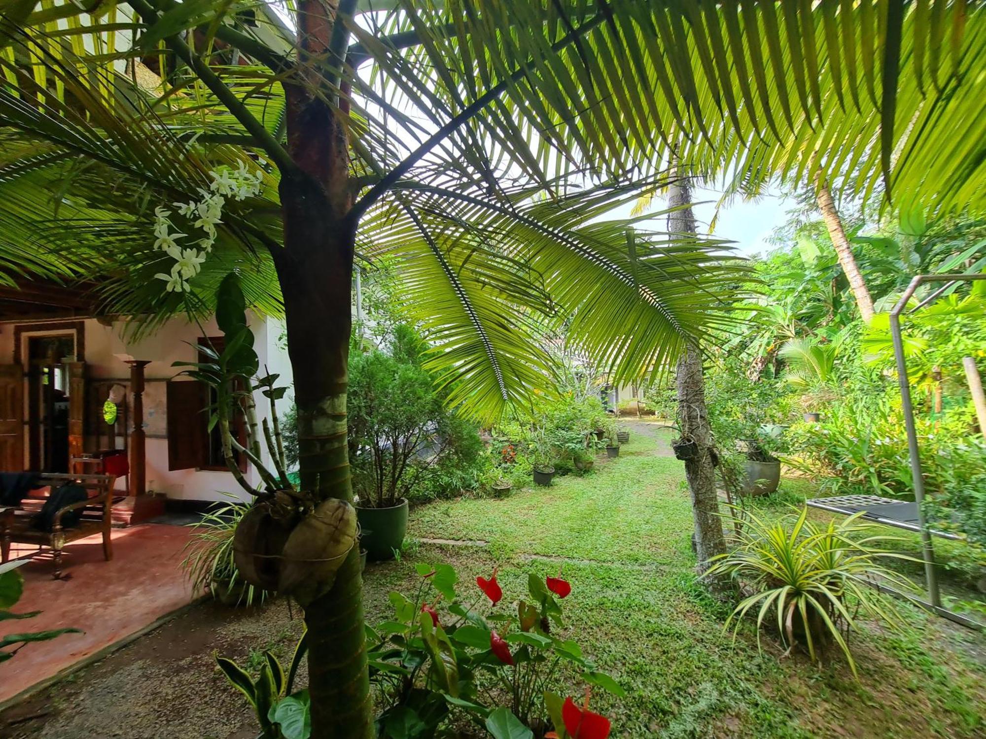 Hill Side Kings Villa Hikkaduwa Exterior photo
