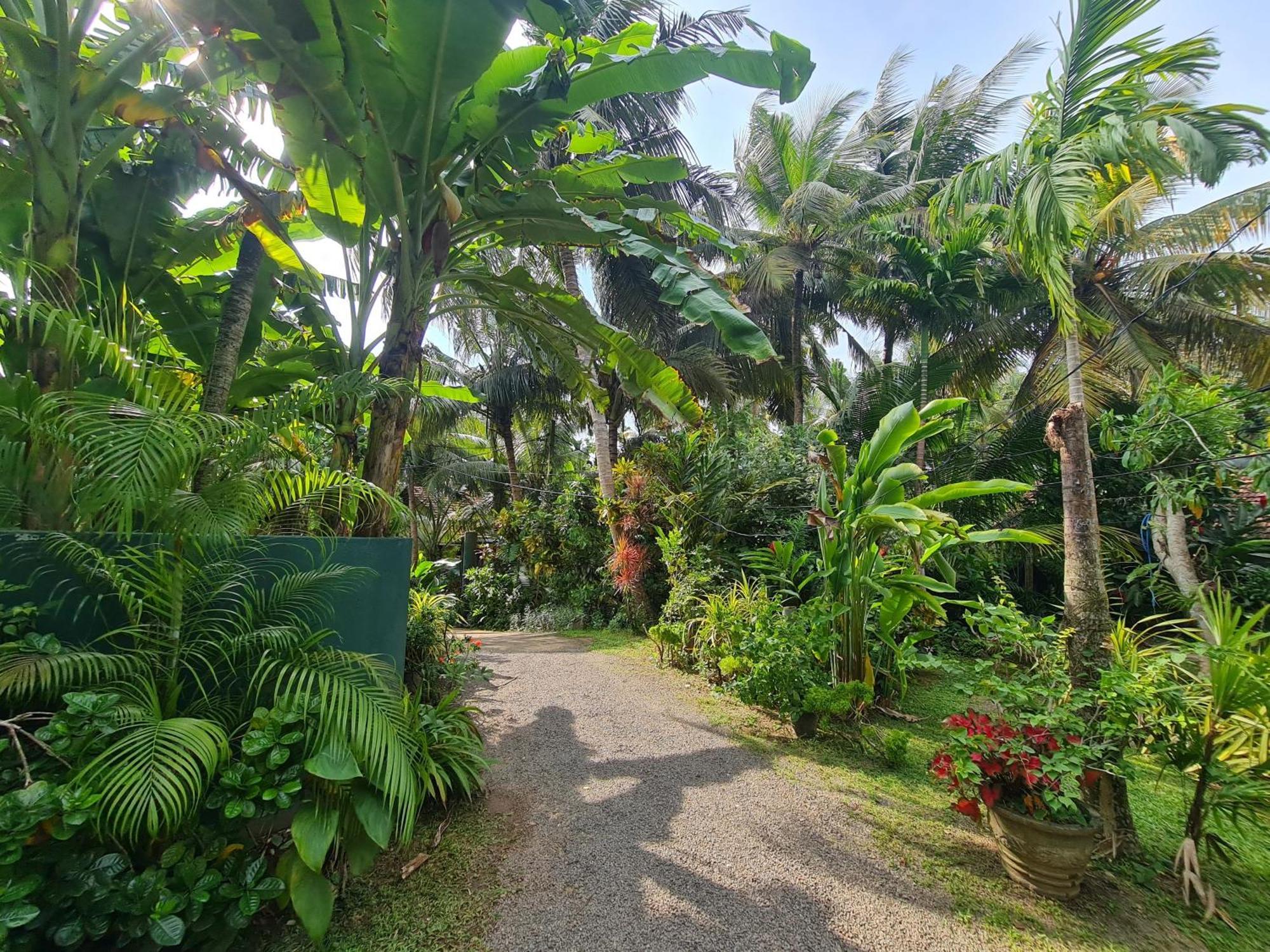 Hill Side Kings Villa Hikkaduwa Exterior photo